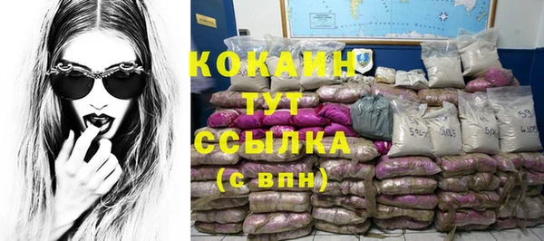 шишки Армянск