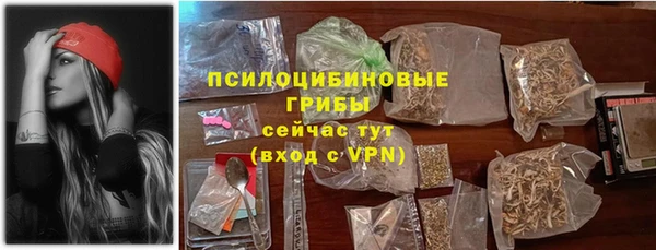 шишки Армянск