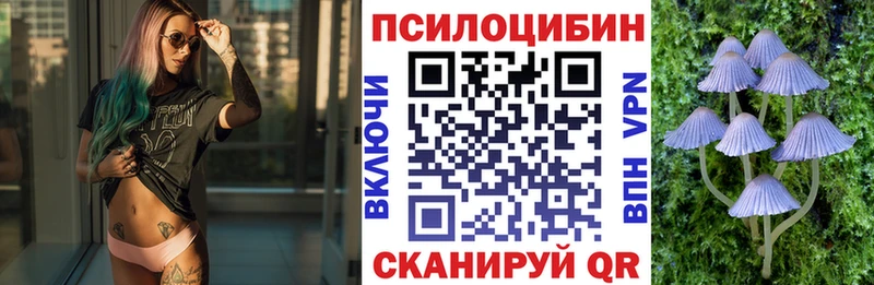 Псилоцибиновые грибы мухоморы  дарк нет формула  Дорогобуж 